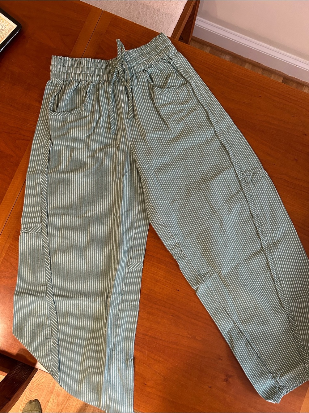 Pinstripe Something Good Pull-On Barrel Pants by Free People